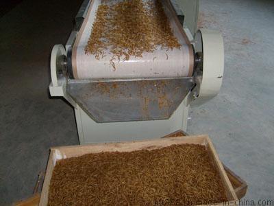 食品类微波设备，广州干燥机，微波综合食品干燥杀菌机